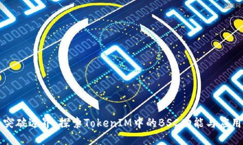突破边界：探索TokenIM中的BSC功能与应用