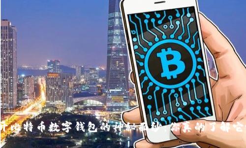 揭开比特币数字钱包的神秘面纱：你真的了解它吗？