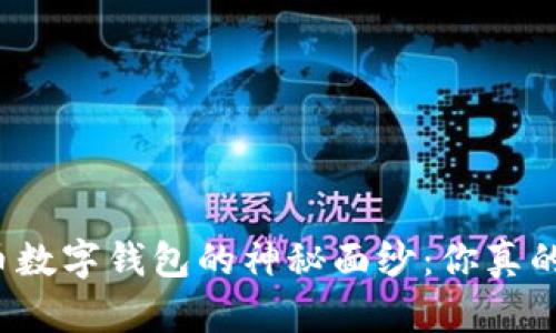 揭开比特币数字钱包的神秘面纱：你真的了解它吗？