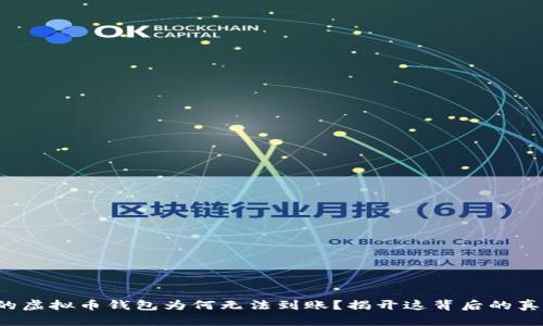 你的虚拟币钱包为何无法到账？揭开这背后的真相！