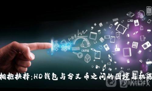 拥抱抉择：HD钱包与分叉币之间的困境与机遇