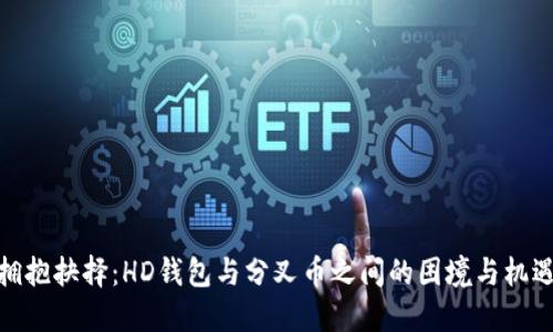 拥抱抉择：HD钱包与分叉币之间的困境与机遇