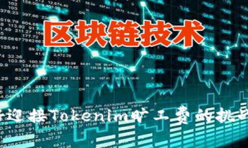 准备好迎接Tokenim旷工费的挑战了吗？