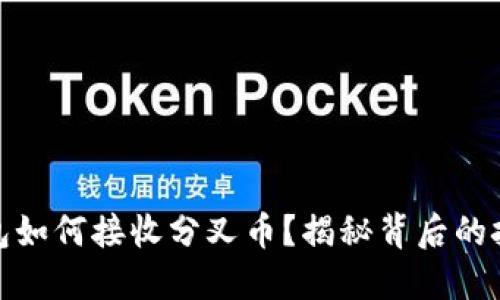 比特币钱包如何接收分叉币？揭秘背后的挑战与机会