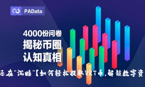 你的钱包还在“沉睡”？如何轻松提取VRT币，解锁数字资产的潜力！