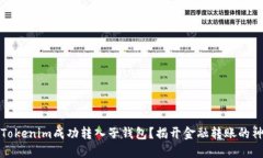 如何将Tokenim成功转入子钱