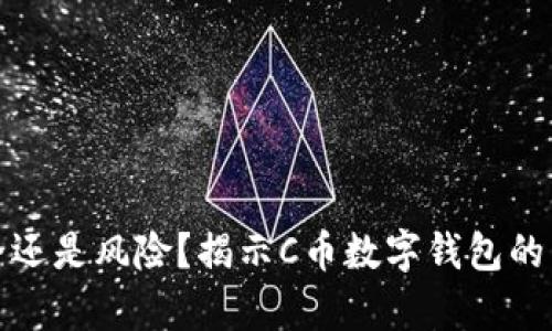 安全还是风险？揭示C币数字钱包的真相
