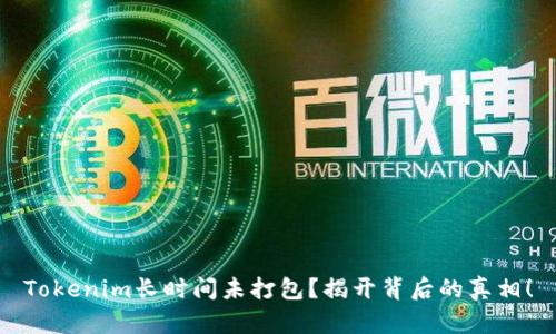 Tokenim长时间未打包?揭开背后的真相!
