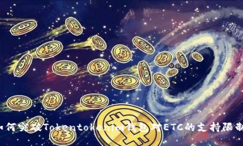 如何突破Tokentokenim钱包对ETC的支持限制？