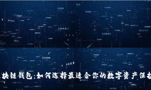 探索区块链钱包：如何选择最适合你的数字资产保护工具？