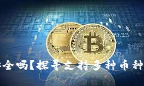 你的数字资产安全吗？探寻支持多种币种的钱包解决方案
