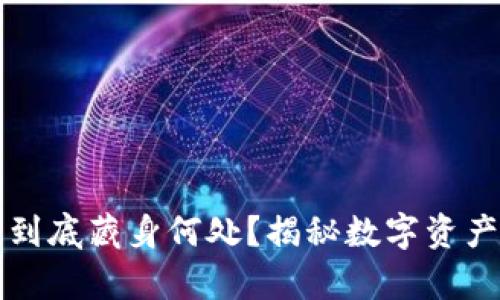 区块链钱包到底藏身何处？揭秘数字资产的真实归宿