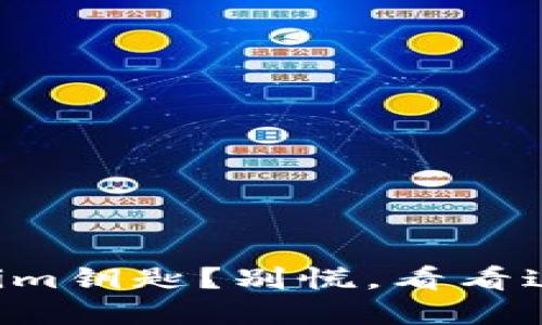 找不到Tokenim钥匙？别慌，看看这些解决方案！
