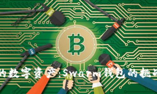 掌握你的数字资产：Swarm钱包的挑战与机遇