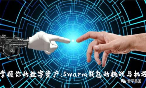 掌握你的数字资产：Swarm钱包的挑战与机遇