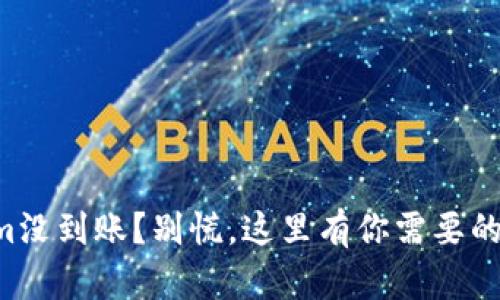 转tokenim没到账？别慌，这里有你需要的解决方案！