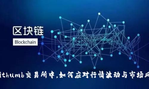 在Bithumb交易所中，如何应对行情波动与市场风险？