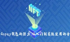 解锁Gopay钱包的潜力：从入