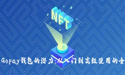 解锁Gopay钱包的潜力：从入门到高级使用的全攻略