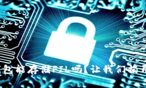 “Tokenim钱包能存储FIL吗?让我们揭开这层迷雾!”