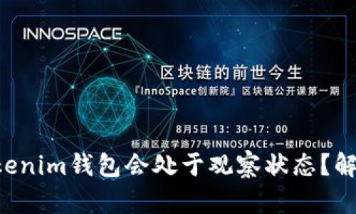 为什么你的Tokenim钱包会处于观察状态？解决方案在这里！