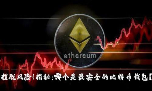 摆脱风险！揭秘：哪个是最安全的比特币钱包？