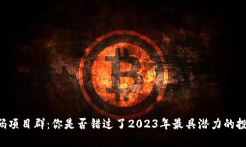 币圈首码项目群：你是否错过了2023年最具潜力的投资机会？