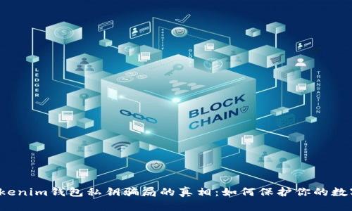 揭开Tokenim钱包私钥骗局的真相：如何保护你的数字资产？