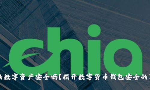 你的数字资产安全吗？揭开数字货币钱包安全的真相