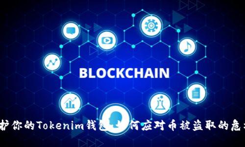 保护你的Tokenim钱包：如何应对币被盗取的危机？