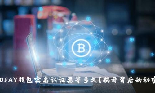 GOPAY钱包实名认证要等多久？揭开背后的秘密！