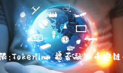打破界限：Tokenim 能否融入币安链的生态？