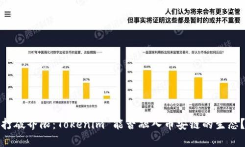 打破界限：Tokenim 能否融入币安链的生态？