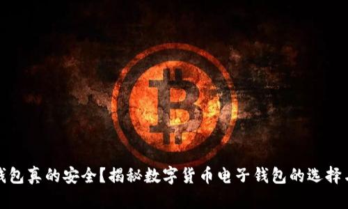 你的钱包真的安全？揭秘数字货币电子钱包的选择与挑战