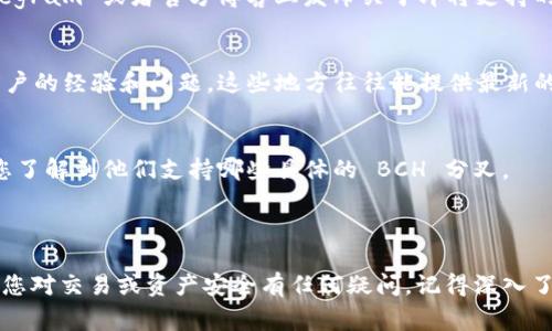 Tokenim 是一款支持多种区块链资产交易的平台。不过，关于具体是否支持 BCH（比特币现金）的分叉，您需要查看最新的官方公告或支持列表。加密货币世界中，随着新的区块链与资产的不断出现，平台的支持情况时常会发生变化。

### 判断 Tokenim 是否支持 BCH 分叉

1. 查看官方资料
第一步是访问 Tokenim 的官方网站或者相关的社交媒体账号。例如，他们可能会在推特、Telegram 或者官方博客上发布关于即将支持的新资产的信息。

2. 社区反馈
加入相关的社区讨论，例如比特币现金的 Reddit 板块或者 Tokenim 的聊天群，了解其他用户的经验和问题。这些地方往往能提供最新的动态和他人的看法。

3. 联系客服
如果您没有找到相关信息，可以直接联系 Tokenim 的客服。他们能提供最准确的信息，帮助您了解到他们支持哪些具体的 BCH 分叉。

### 总结

无论 Tokenim 当前是否支持 BCH 的任何分叉，始终保持更新是获取最新信息的关键。如果您对交易或资产安全有任何疑问，记得深入了解平台的各项政策和规定。