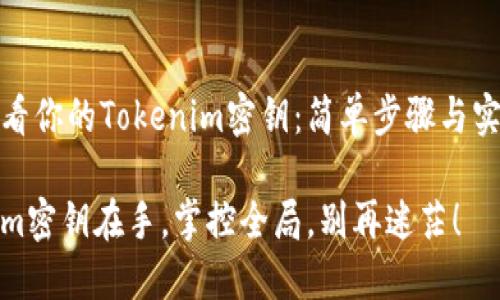 如何查看你的Tokenim密钥：简单步骤与实用技巧

Tokenim密钥在手，掌控全局，别再迷茫！