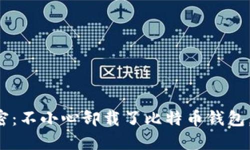 中本聪的秘密：不小心卸载了比特币钱包，该如何找回？