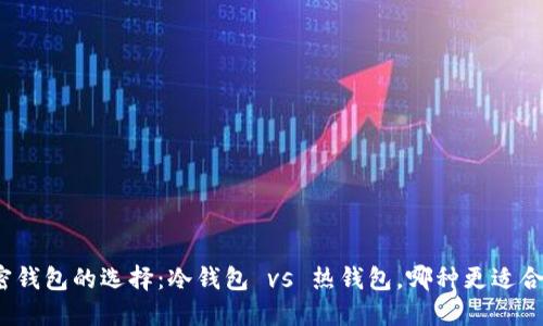 加密钱包的选择：冷钱包 vs 热钱包，哪种更适合你？