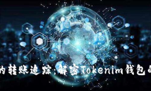 从未见过的转账追踪：解密Tokenim钱包的转账记录