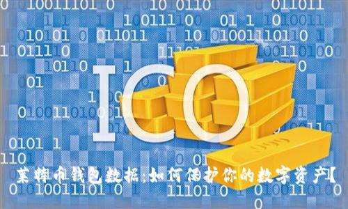 莱特币钱包数据：如何保护你的数字资产？