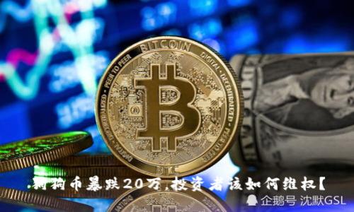 狗狗币暴跌20万，投资者该如何维权？