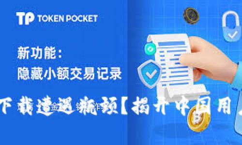 你的IM钱包下载遭遇瓶颈？揭开中国用户的真实挑战