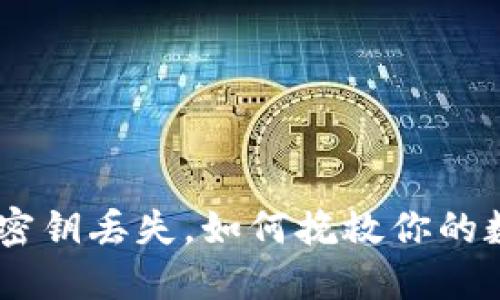 Tokenim钱包密钥丢失，如何挽救你的数字资产安全？
