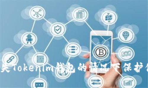 如何在不幸丢失Tokenim钱包的情况下保护你的数字资产？