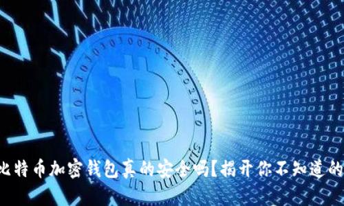 你的比特币加密钱包真的安全吗?揭开你不知道的隐患!
