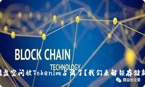 你的磁盘空间被Tokenim占满了？我们来解锁存储新模式！