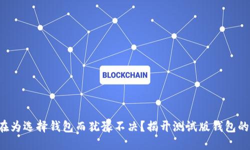 你是否还在为选择钱包而犹豫不决？揭开测试版钱包的神秘面纱！