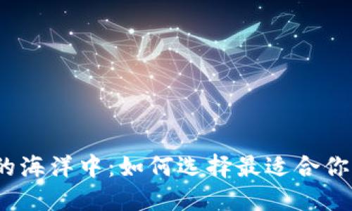 在数字货币的海洋中：如何选择最适合你的下载软件？