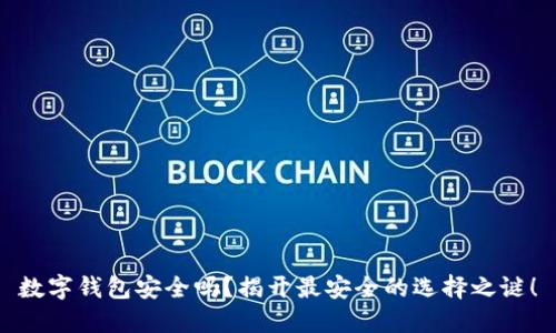 数字钱包安全吗？揭开最安全的选择之谜！