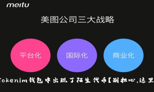 为什么你的Tokenim钱包中出现了陌生代币？别担心，这里有解决方案！